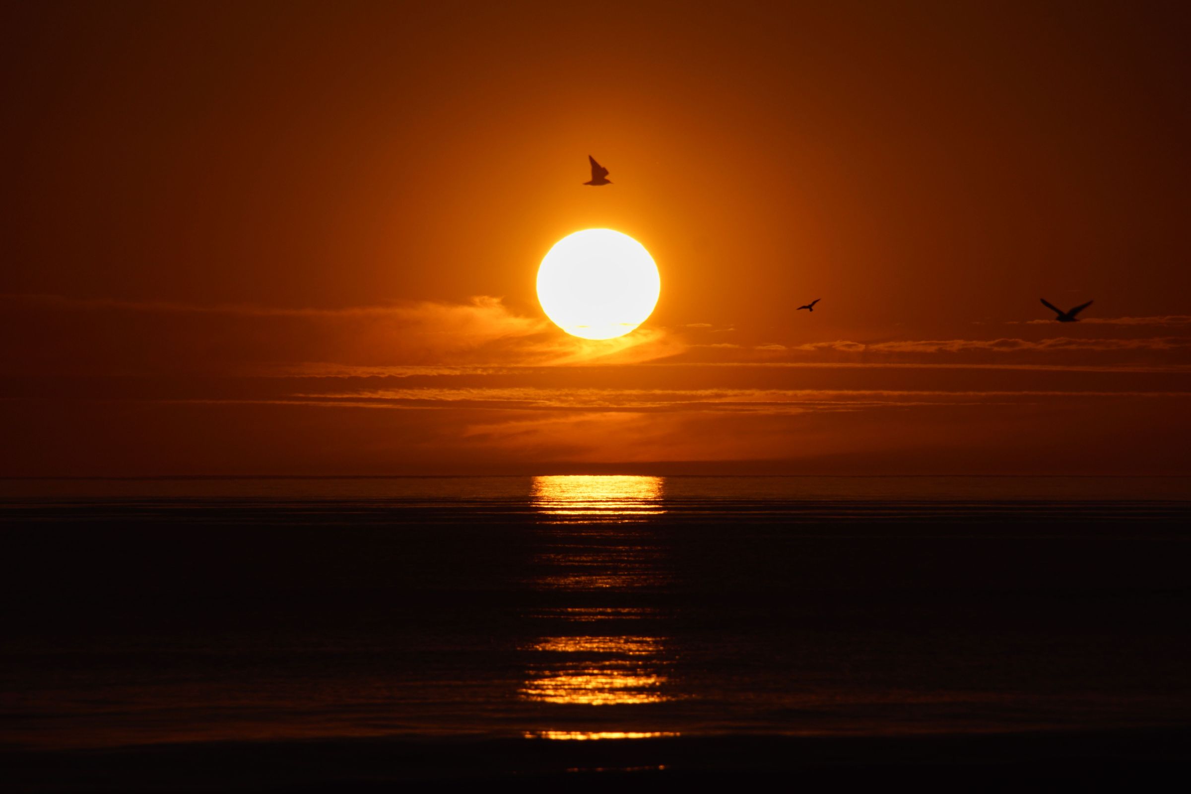 Sonnenuntergang Vejers Strand